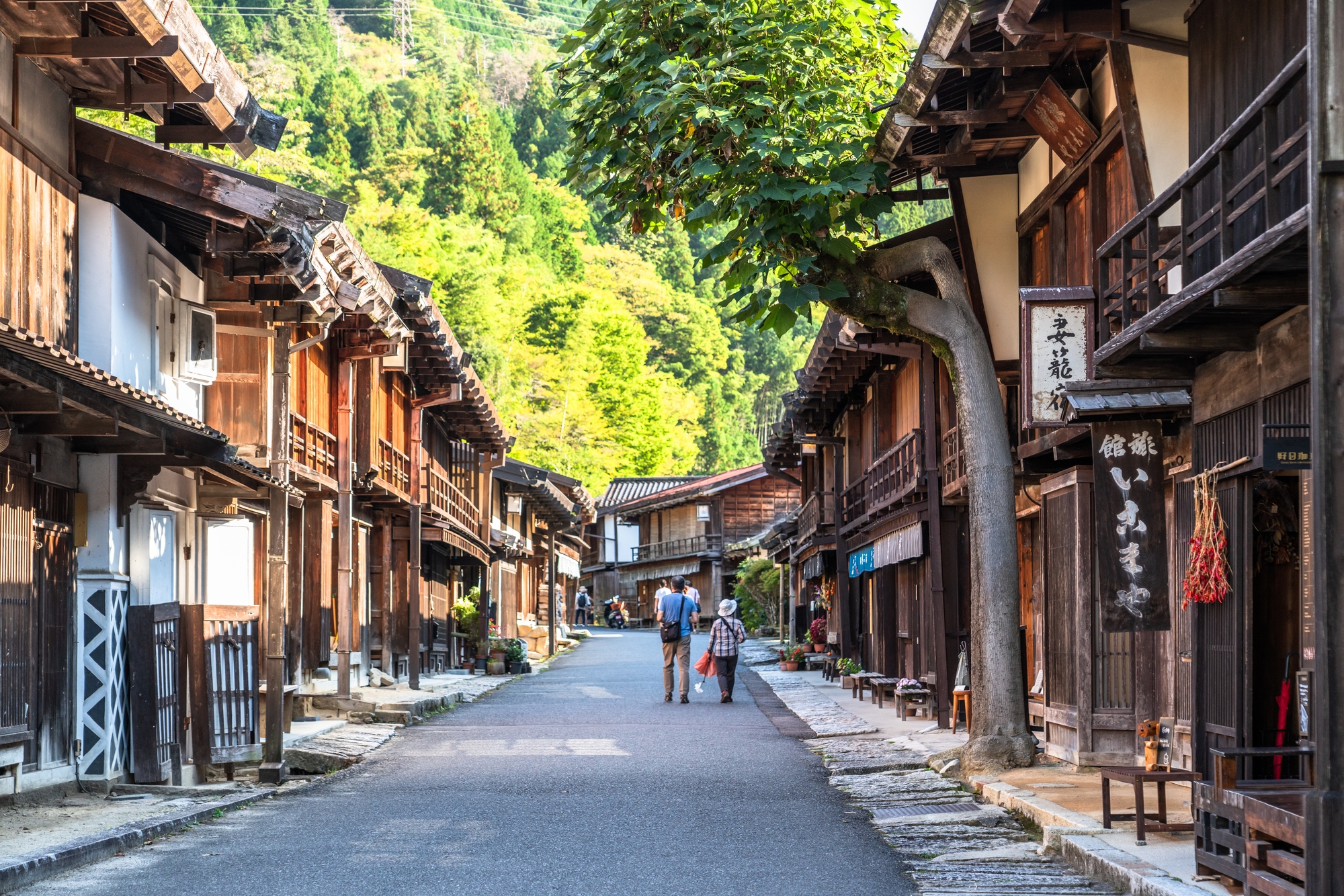Kyoto’s Timeless Heritage: Temples, Bamboo Forest & Geisha District