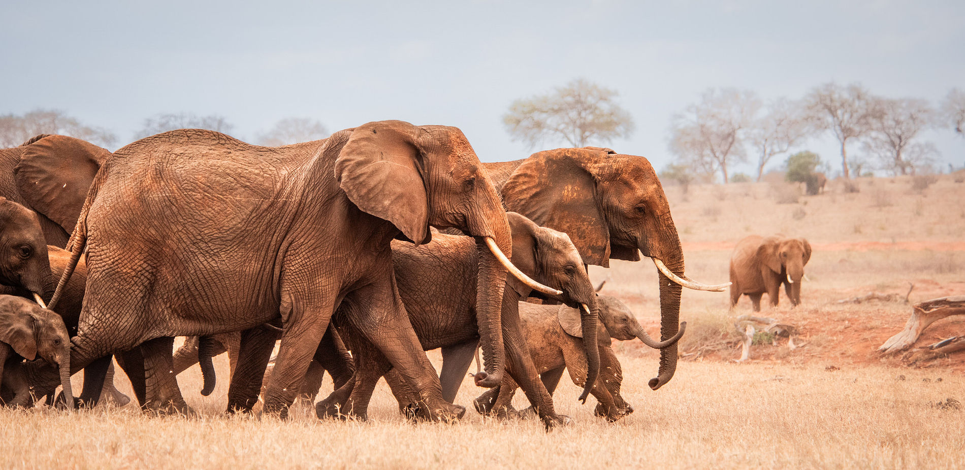 Arrival in Nairobi