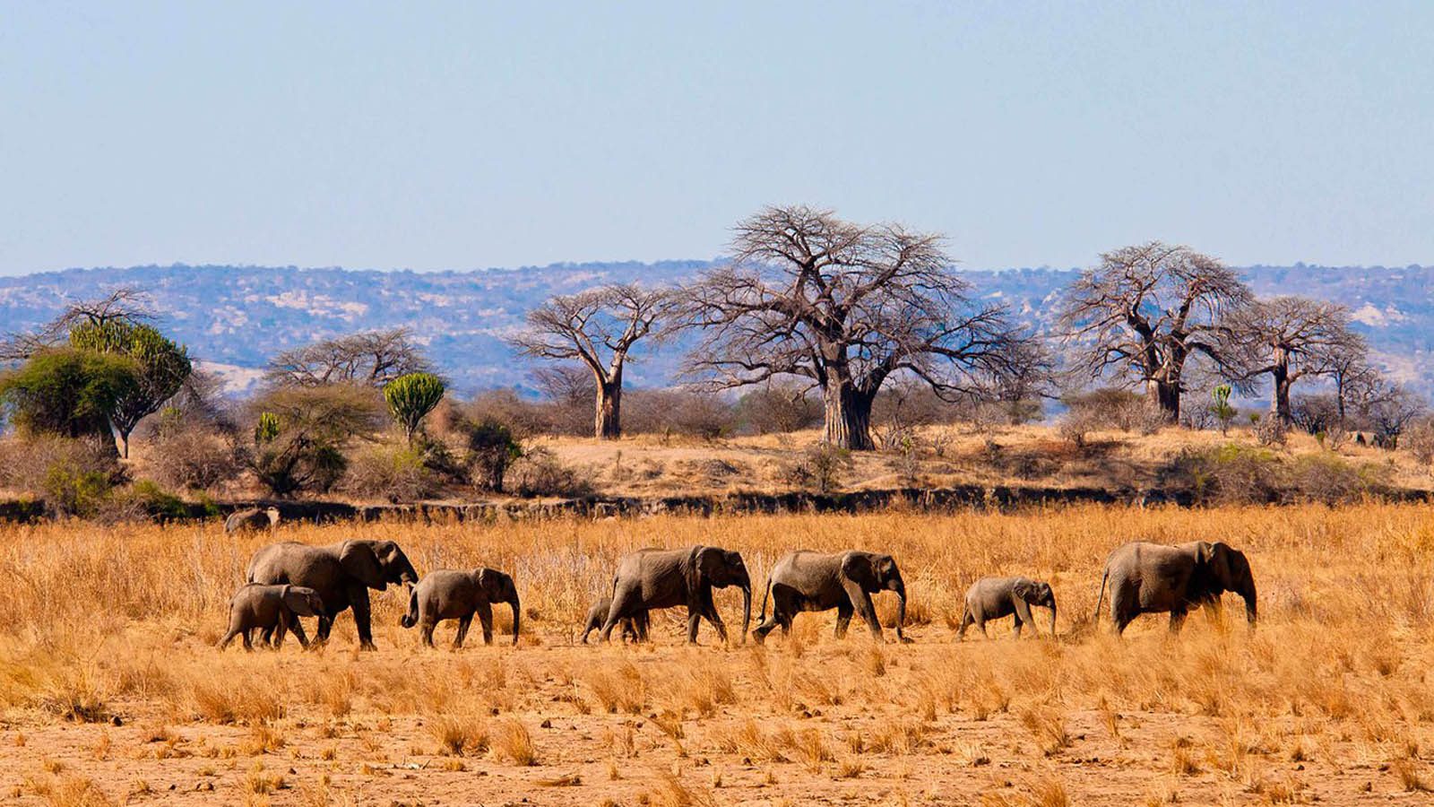 Arrival – Arusha