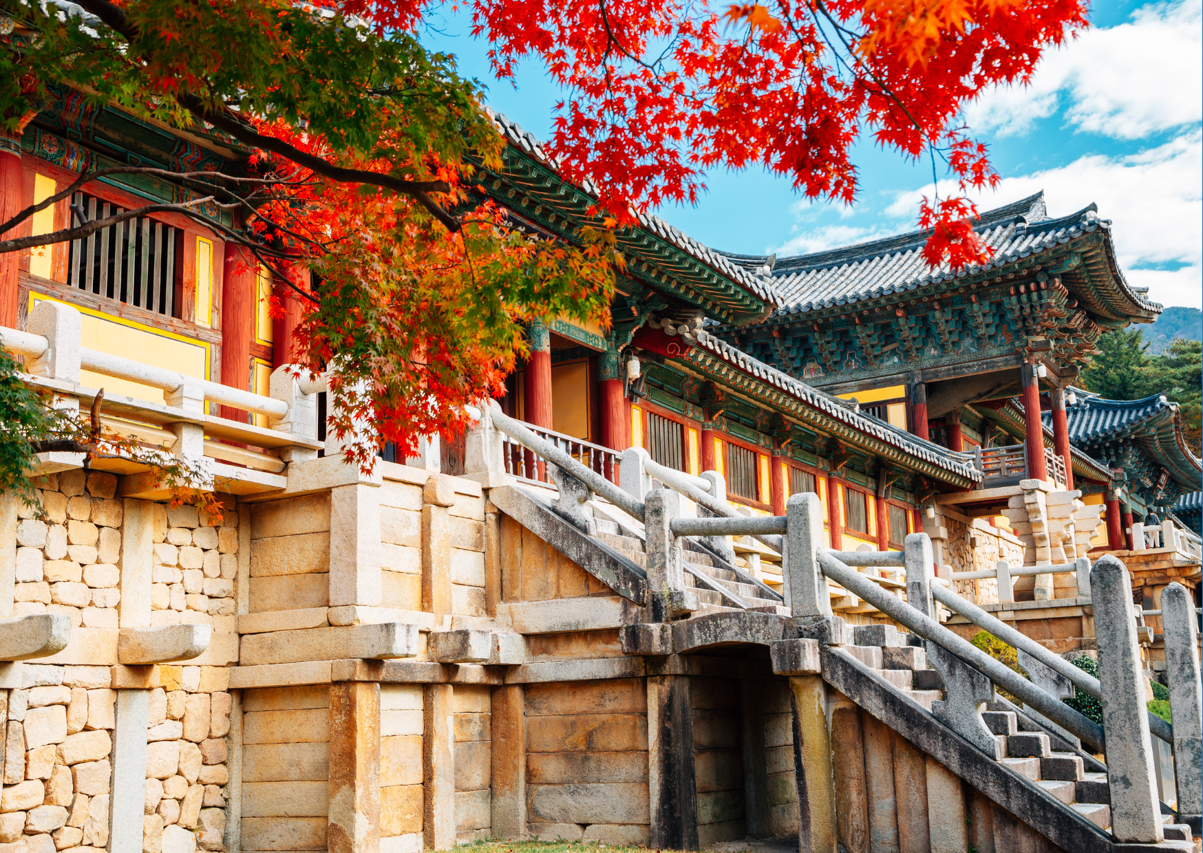 Busan Full Day Tour: Oceanside Temples & Living Canvases