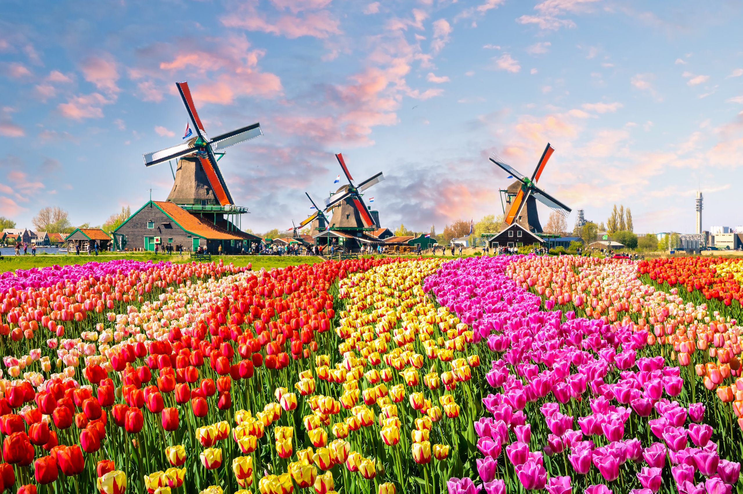 Arrival in Amsterdam