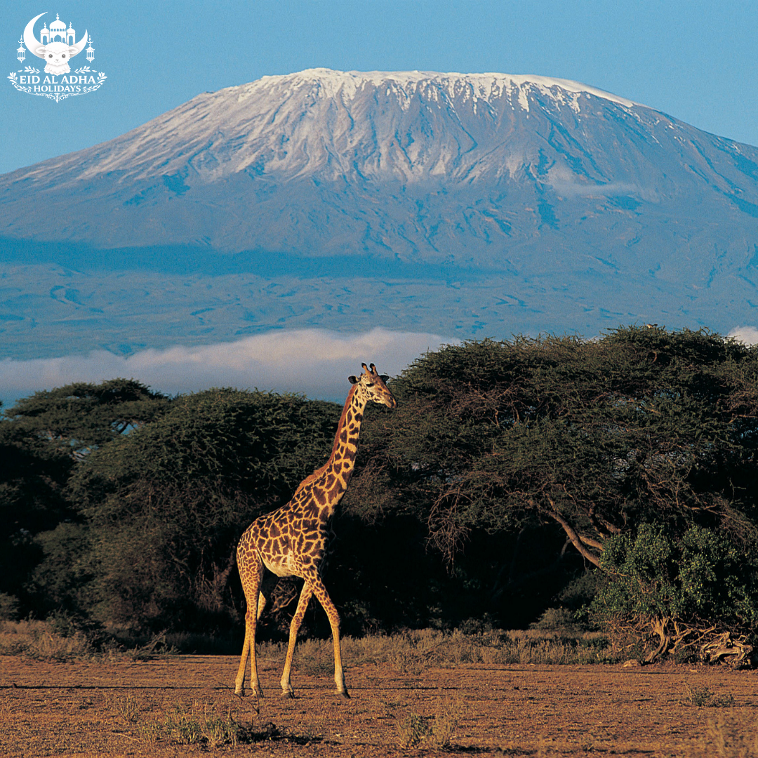 Kenya
