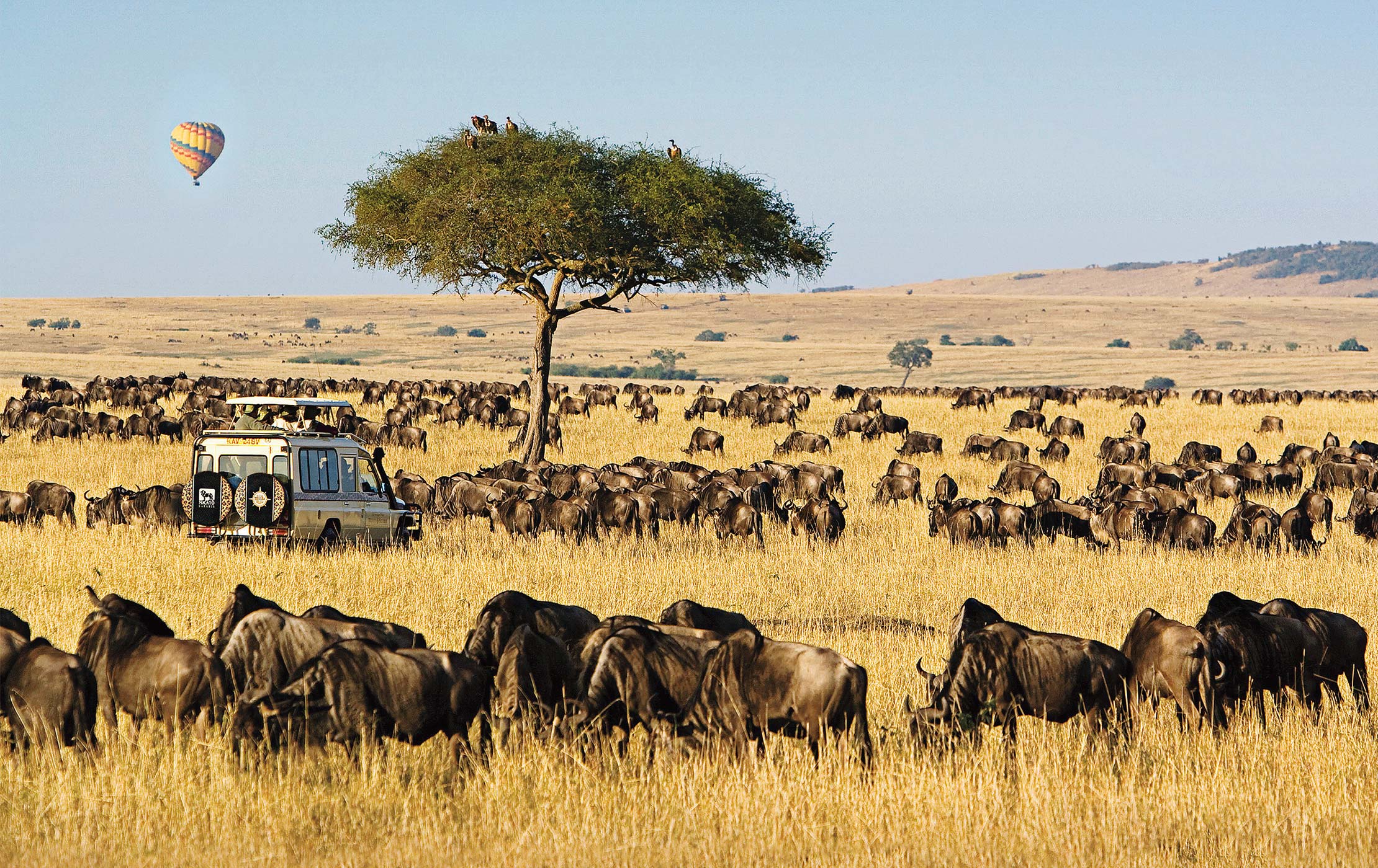 Nairobi City Excursions