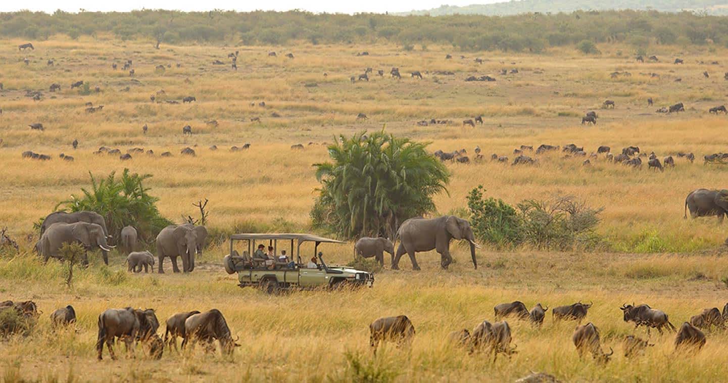 Arusha → Tarangire National Park