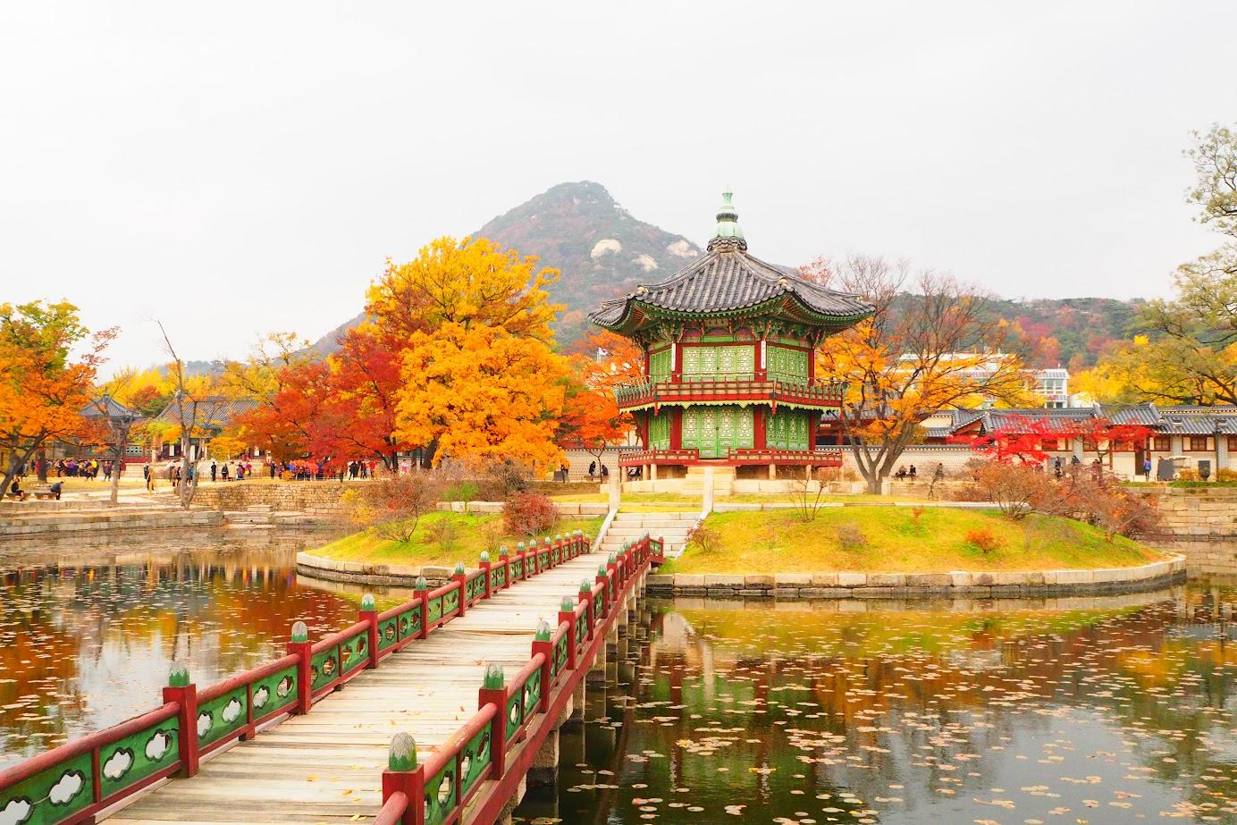 Seoul City Tour: Crowns, Courtyards & the Spirit of Seoul