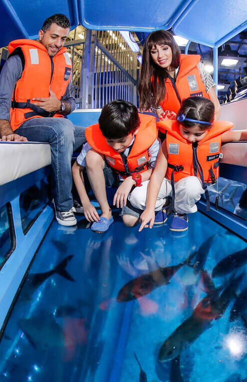 Dubai Aquarium VIP Explorer Experience