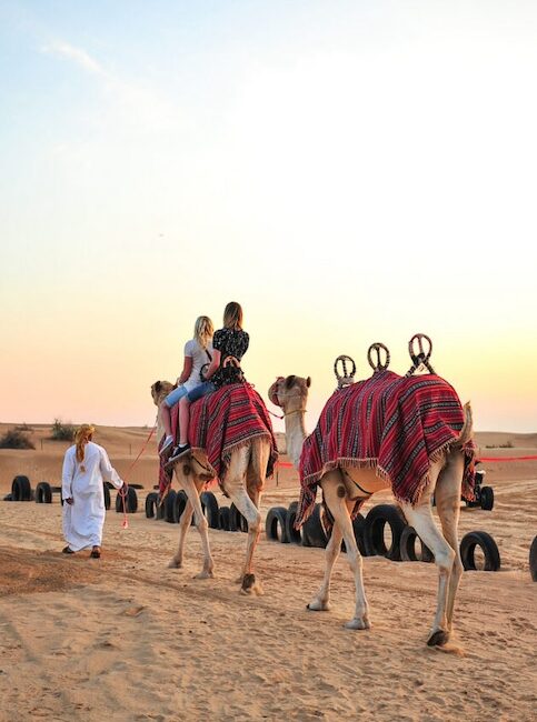 Desert Safari Standard