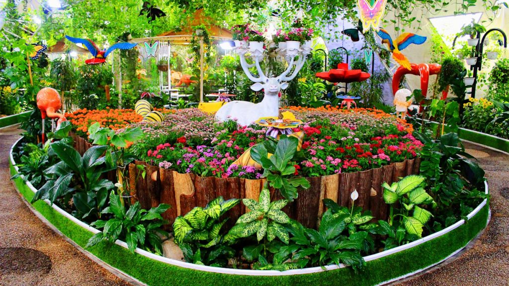 Dubai Butterfly Garden