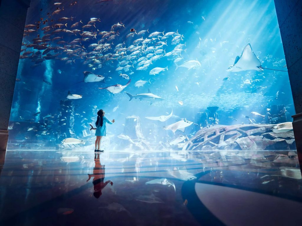 Lost Chambers Aquarium