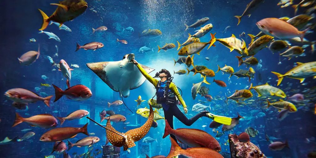 Scuba Diving